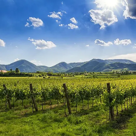 Centro A 10 Min - Quartiere Tranquillo - Ristrutturato - Chocomint