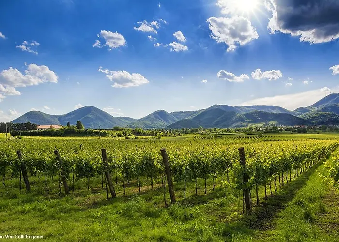 Centro A 10 Min - Quartiere Tranquillo - Ristrutturato - Chocomint